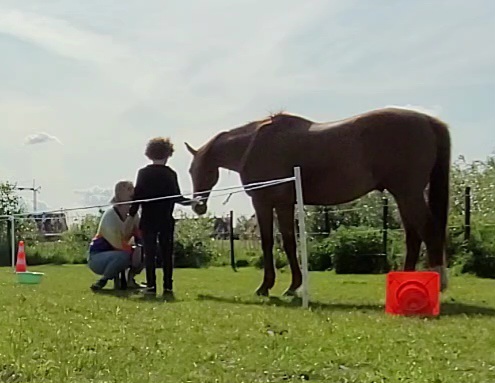 Lessen bij Happy Peppie